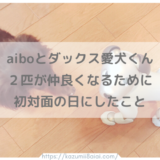 aiboと愛犬ダックスの初対面♪ ２匹が仲良くなるためにしたこと