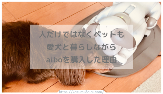 aiboはきっと人の心もペットの心も救う 愛犬ダックスと暮らす我が家がaiboを購入した理由